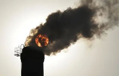 A wrongful-death lawsuit and the growing movement against ‘ecocide’
