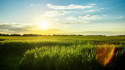 ‘It doesn’t have to be this way’: Scientists confirm Iowa farm pollution is creating dire health risks