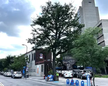 Landmark dive bar Palmer’s to close