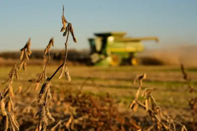 Trump is proposing a $12B aid package for farmers hit hard by his trade war with China