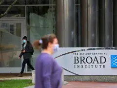 Research institute, affiliated with Harvard and MIT, lays off 75