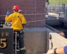 VIDEO: Dog trapped in drain pipe rescued at Parker water treatment facility