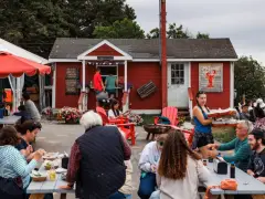 Feeding the limitless Maine lobster roll boom, seafloor to summer table