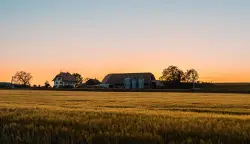 Are suicide rates twice as high in rural Minnesota than in the Twin Cities?