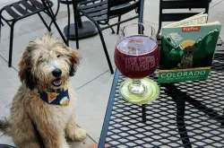 Brewery near Red Rocks Amphitheatre announces closure