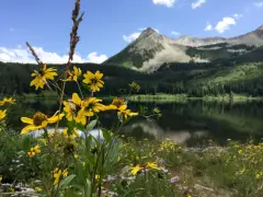 Best campground in the U.S. is in Colorado, according to camping app