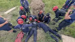 Missing foster dog rescued from Douglas County trench by South Metro firefighters