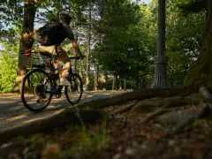 Neighbors successfully halt Cambridge bike path restoration project, for now