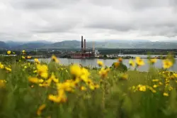 Millions of tons of coal ash are buried underground in Colorado, seeping toxic chemicals into groundwater